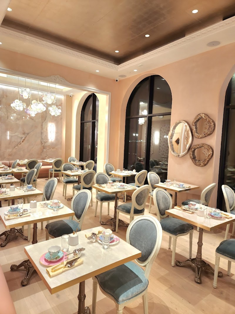 Lady Camellia photo 1