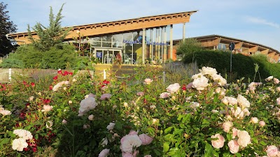 Solequell Bad Salzelmen