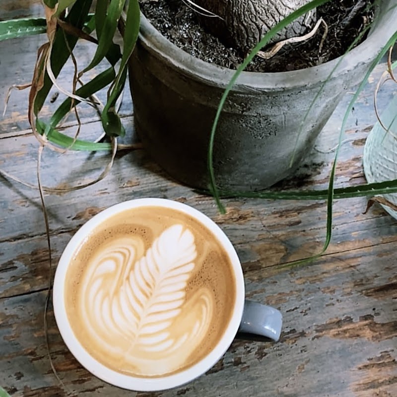 KIJITORA mini photo 2