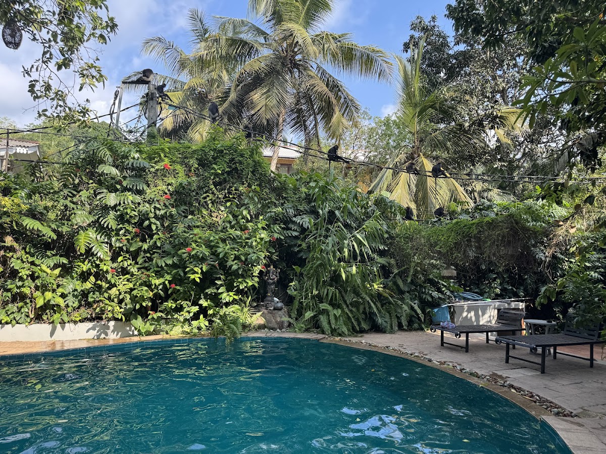 Thambapanni Retreat — 4