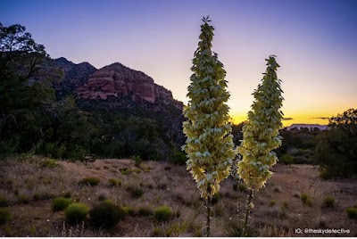 Burglin & Doxey, P.C. - Car accident lawyer in Fairbanks