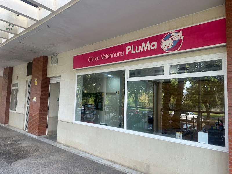 Clínica Veterinaria Pluma