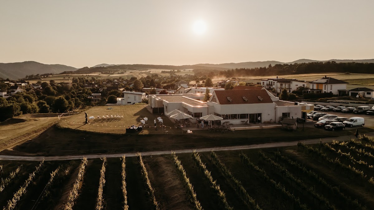 WEINGUT & WEINBLICK GRAFINGER