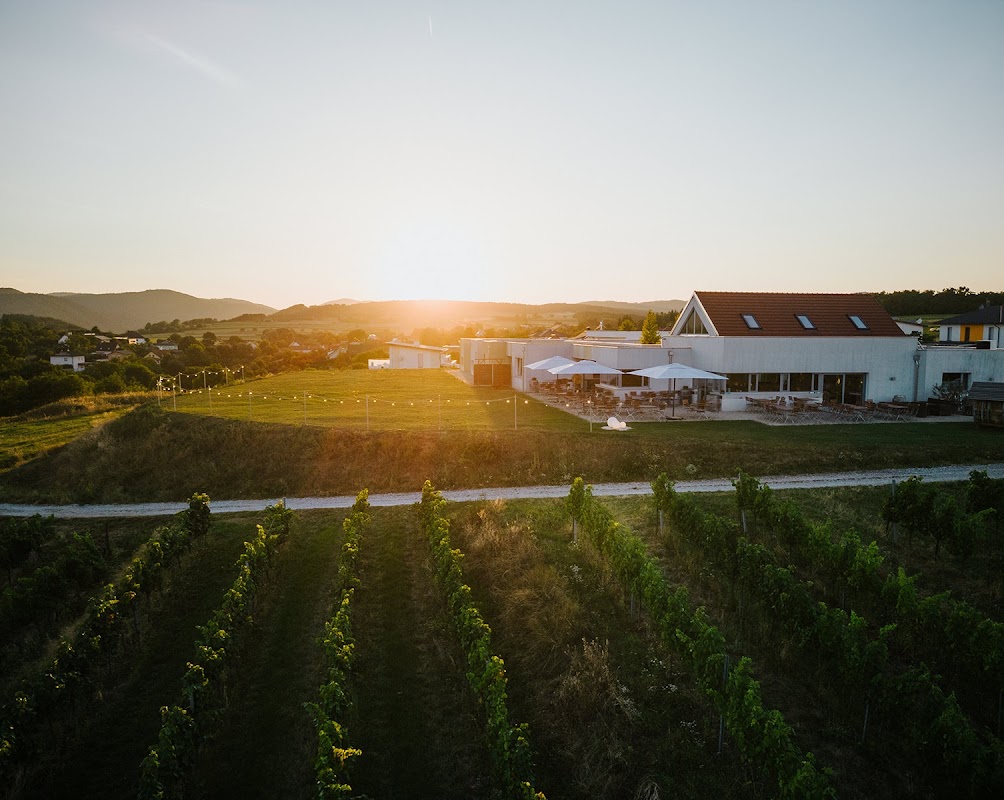 WEINGUT & WEINBLICK GRAFINGER
