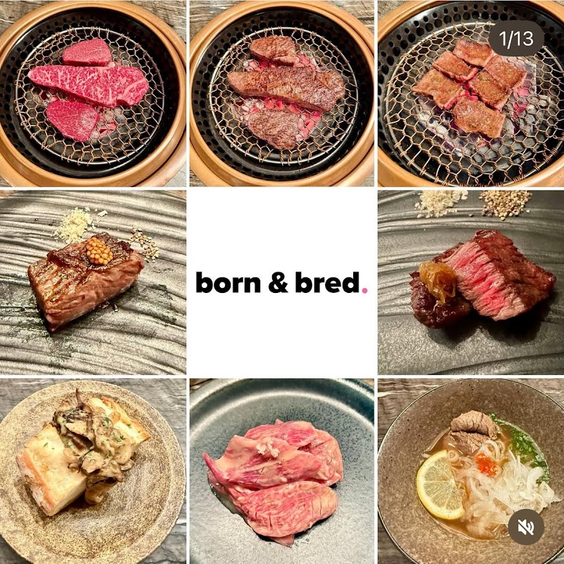 Born and Bred photo 4