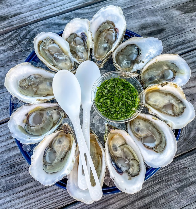 N Sea Oyster Company