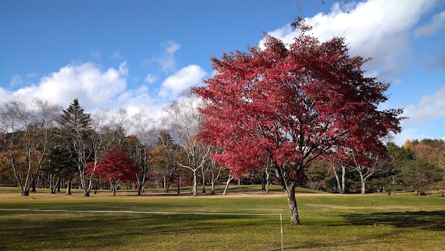 Kusatsu Country Club - Photo 7