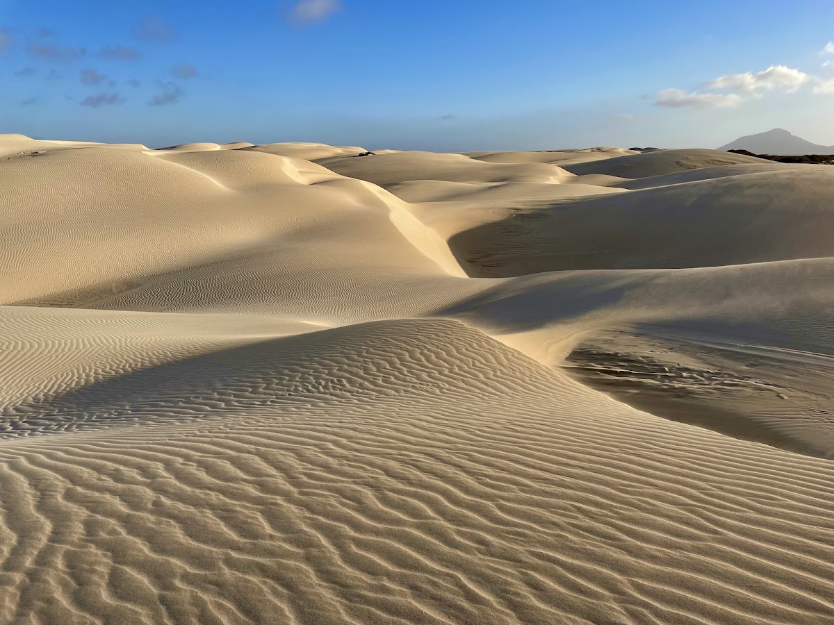 Viana Desert