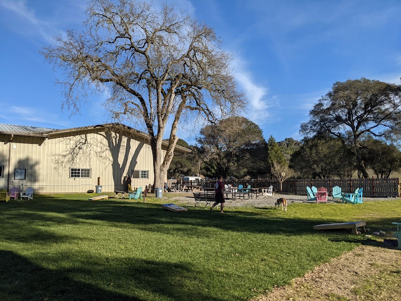 Anderson Valley Brewery Disc Golf Course photo 3