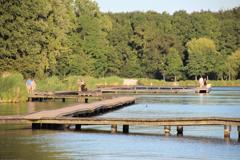 Kralingse Plas