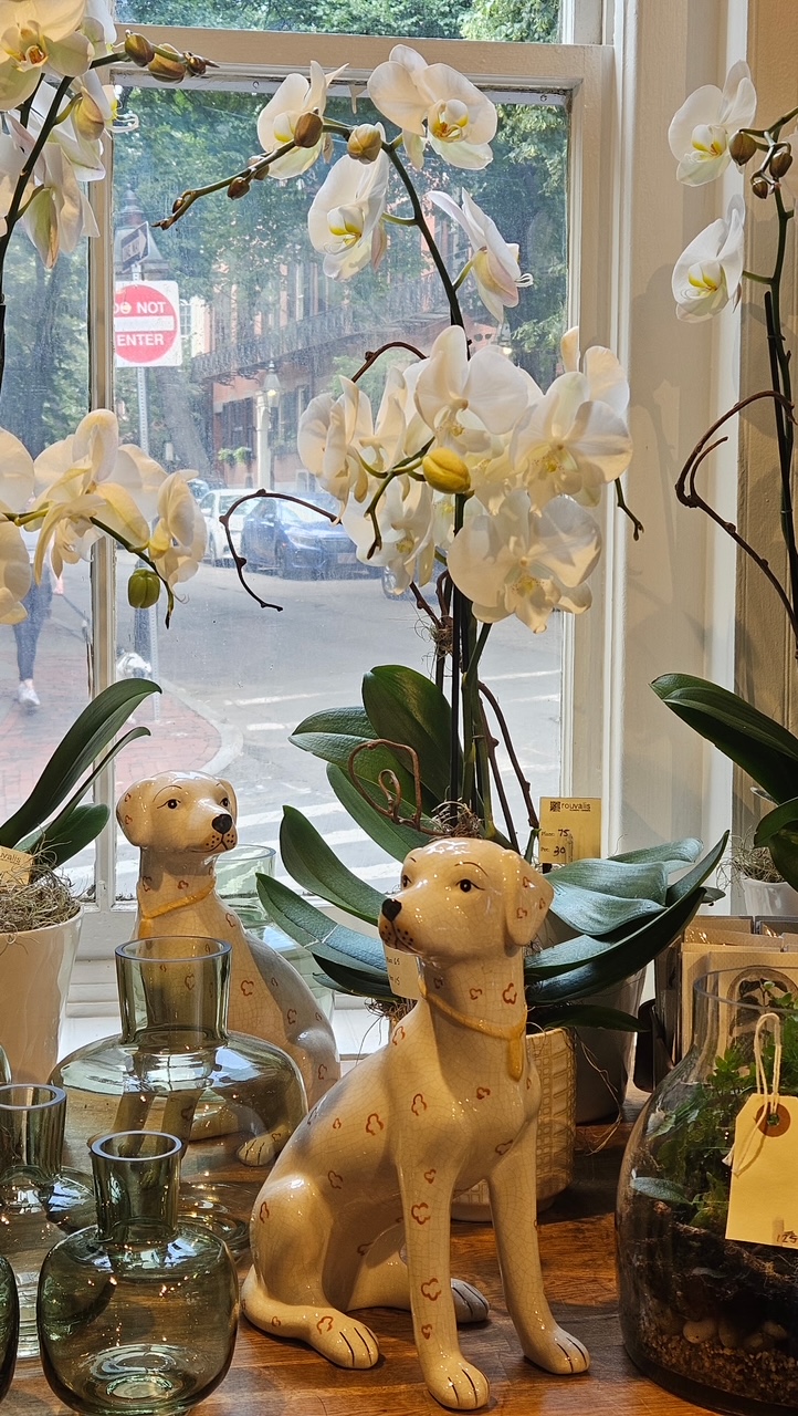 Rouvalis Flowers: Google Places image 5