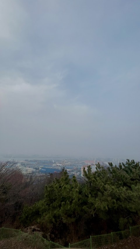 월미산 반려동물 동반 여행지