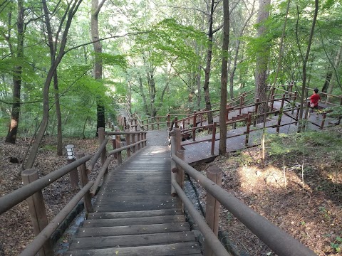 월미산 사진 5