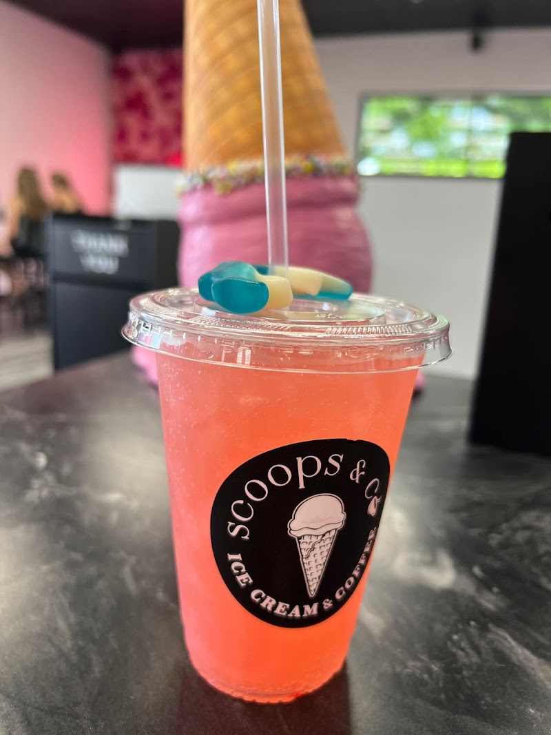 Scoops & Co. photo 4