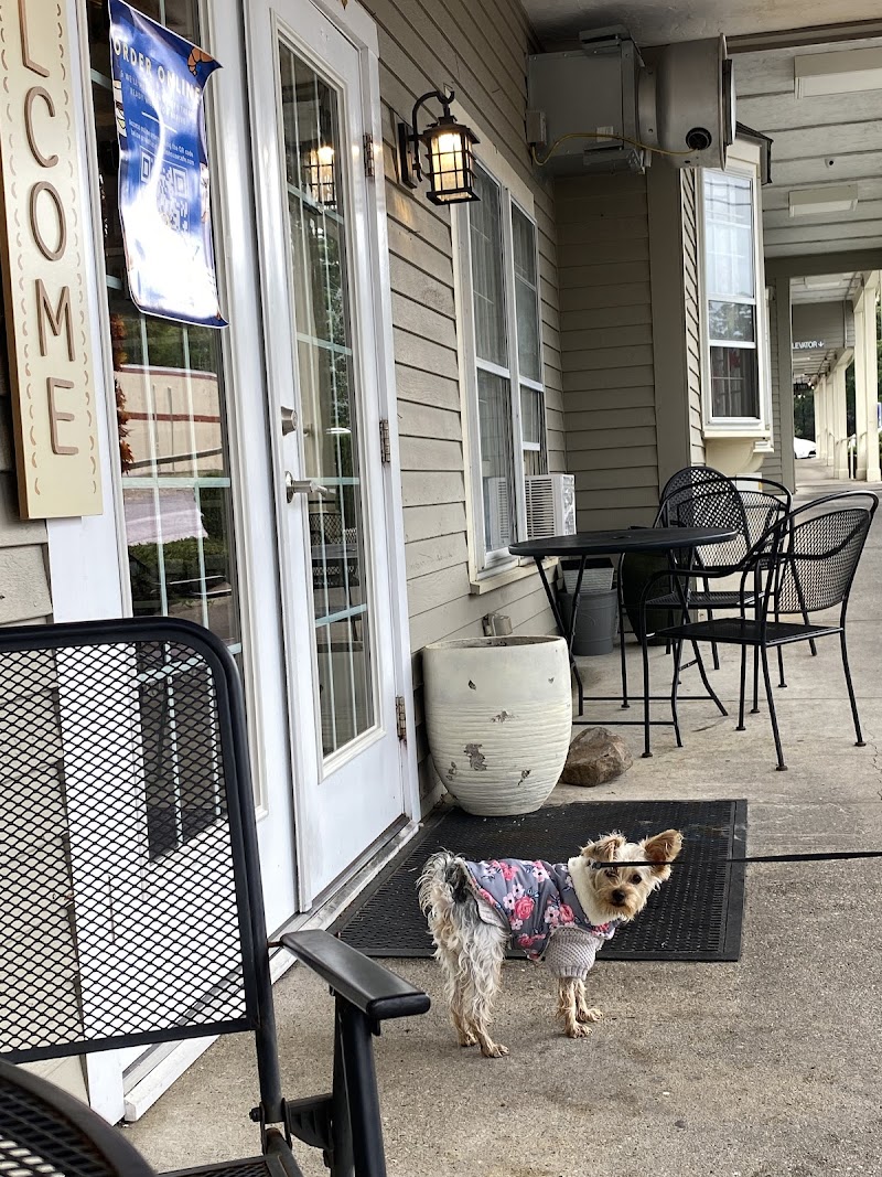 Muffin House Cafe photo 1