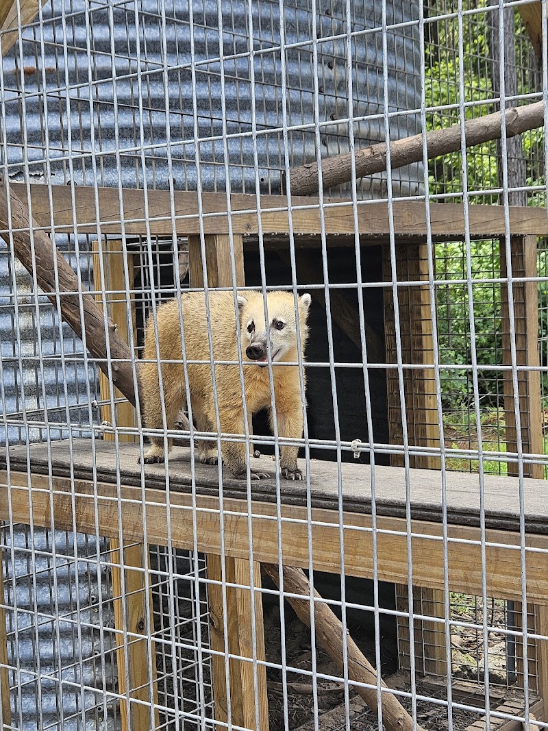 Wild Woods Farm - Photo 5