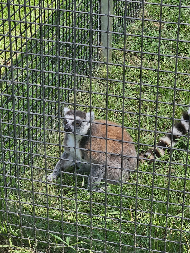 Wild Woods Farm - Photo 1