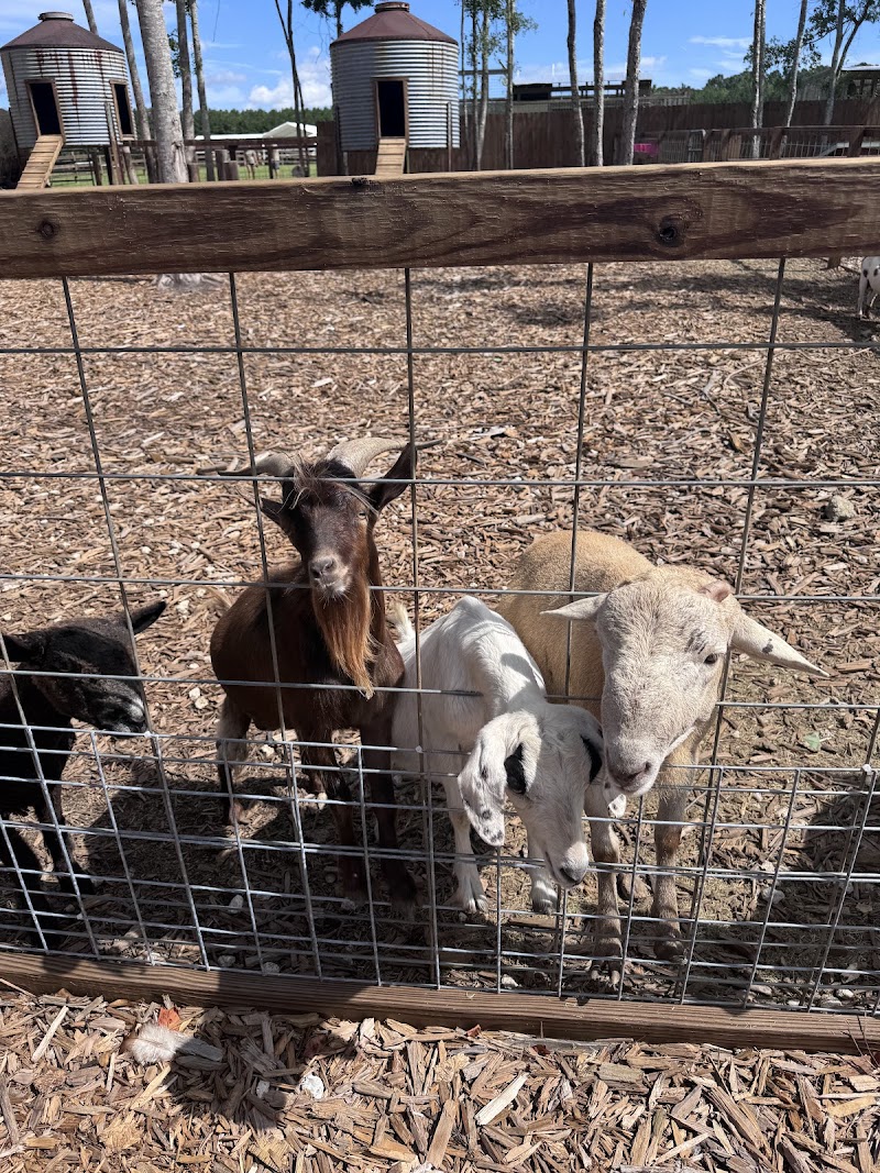 Wild Woods Farm - Photo 6