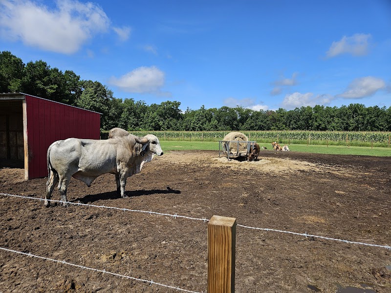 Wild Woods Farm - Photo 3