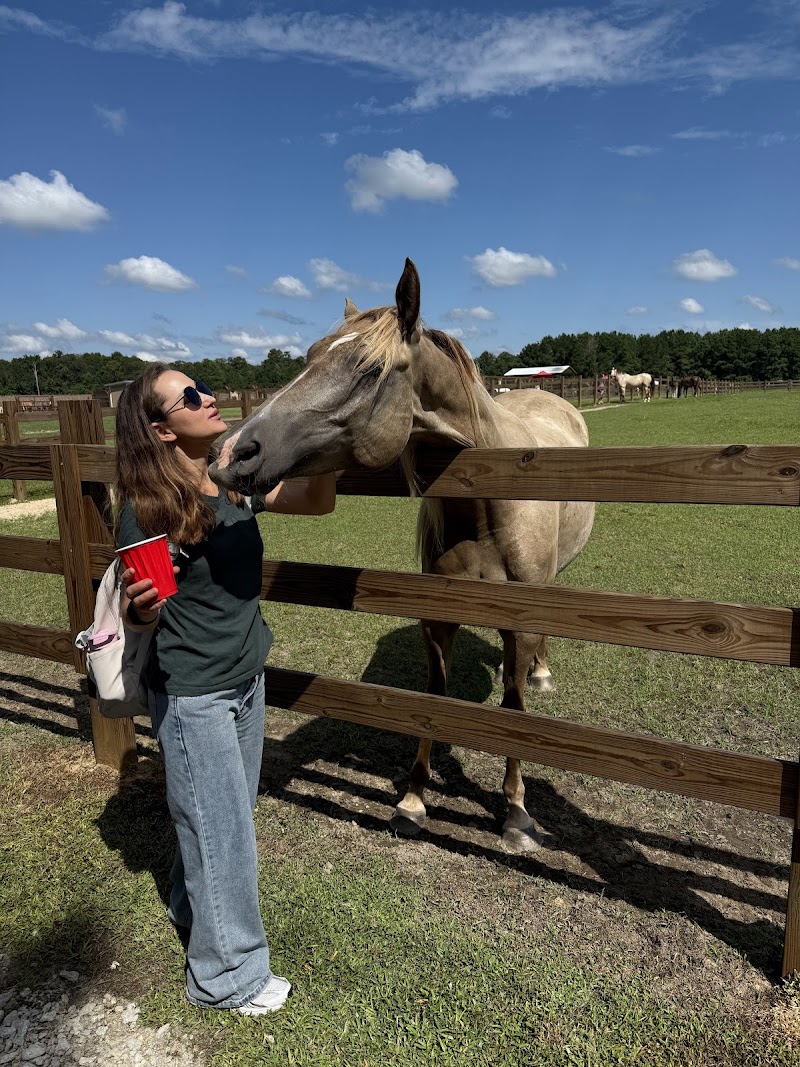 Wild Woods Farm - Photo 4
