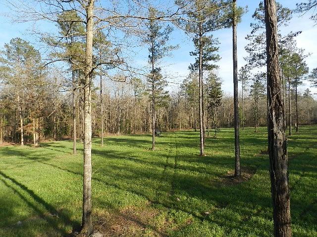 Woods-N-Water Inc - Photo 6