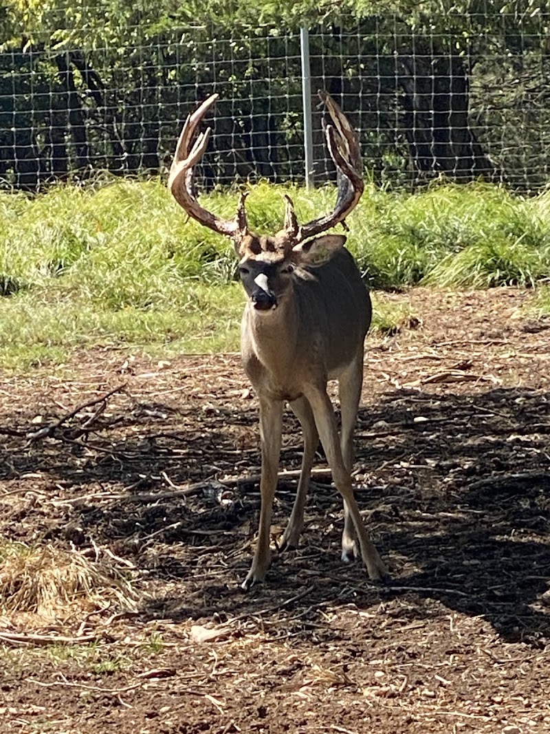 Biddle Legacy Ranch - Photo 3