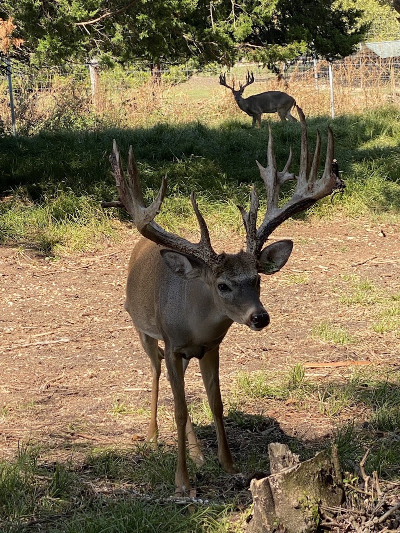 Biddle Legacy Ranch - Photo 6