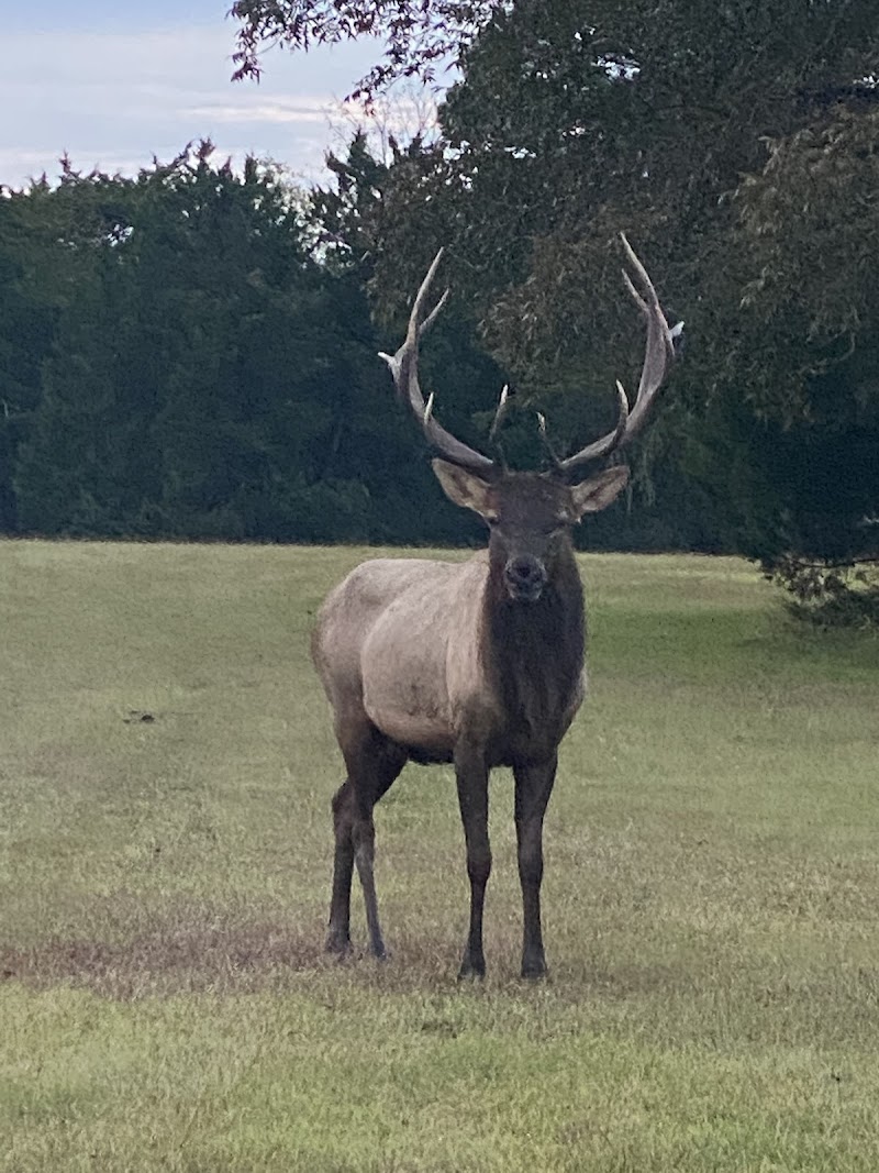 Biddle Legacy Ranch - Photo 1