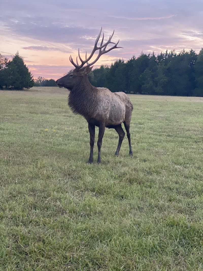Biddle Legacy Ranch - Photo 5