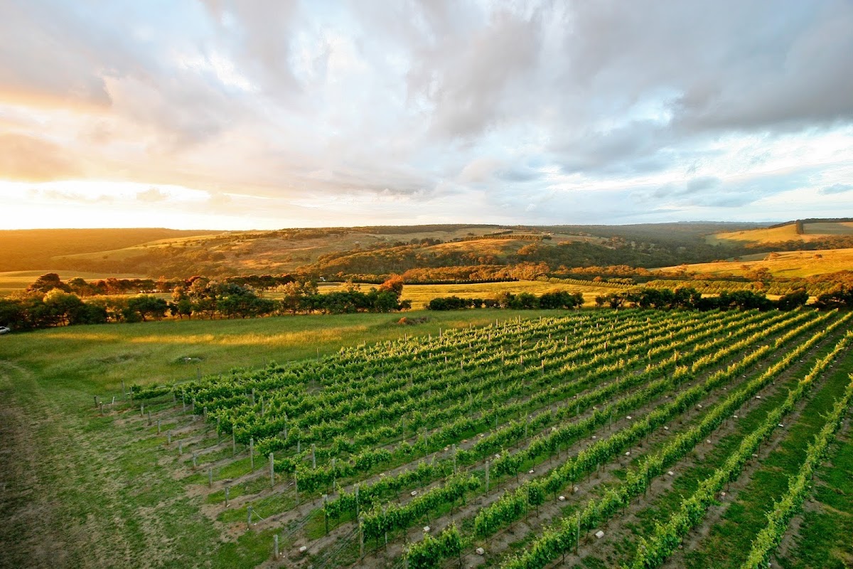 Nazaaray Estate Winery