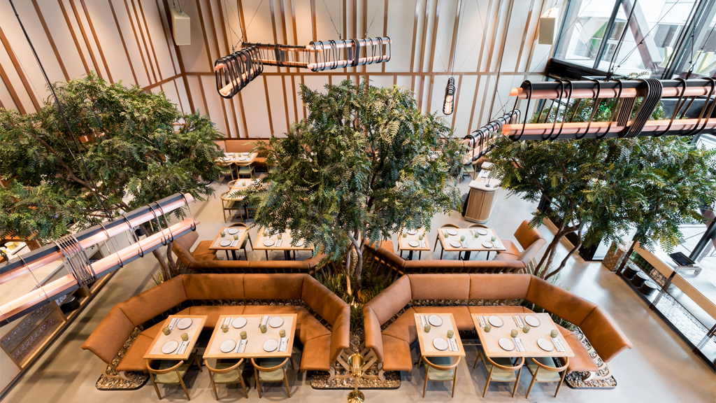 Eos & Nyx in san-jose