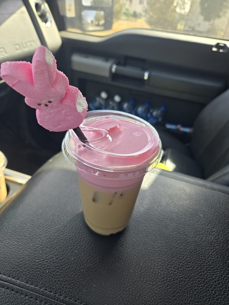 The Alibi Coffee House photo 4