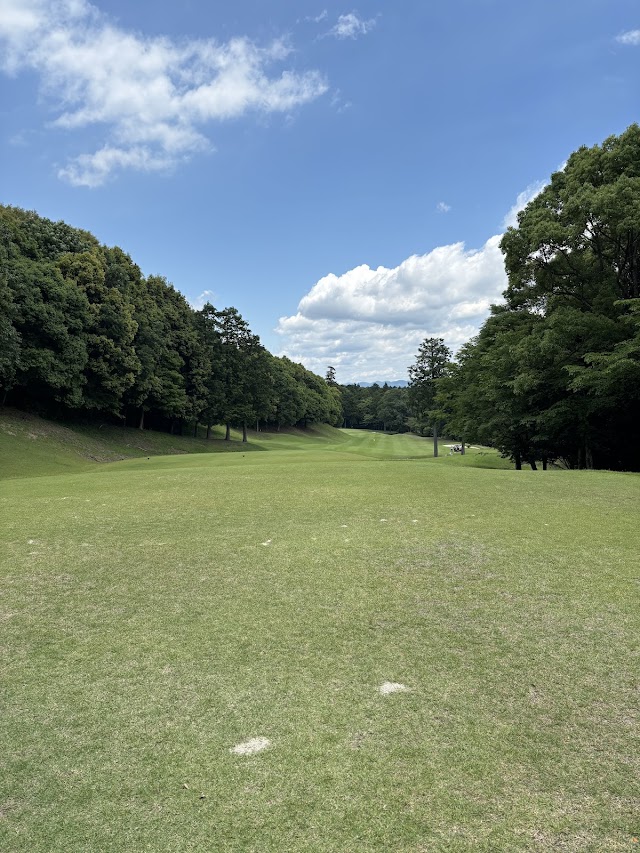Castle Hill Country Club - Photo 3