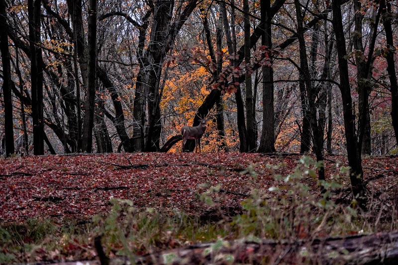 Sanctuary Ranch - Photo 2