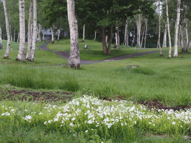 Suijo Kogen Golf Course Sky Forest Course - Photo 9