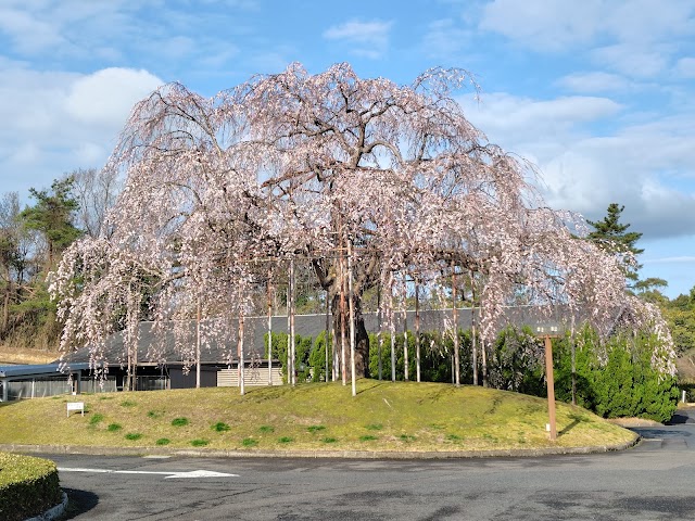 Gamo Golf Club (Shiga Prefecture) - Photo 6