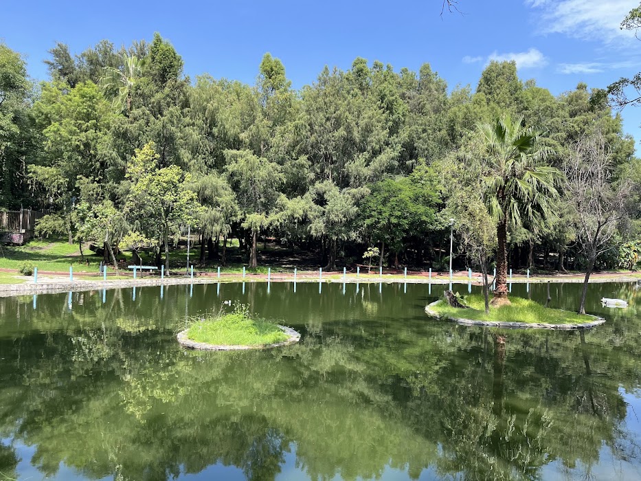 Parque Tucson fotoğraf 1