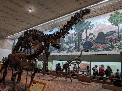 Yale Peabody Museum