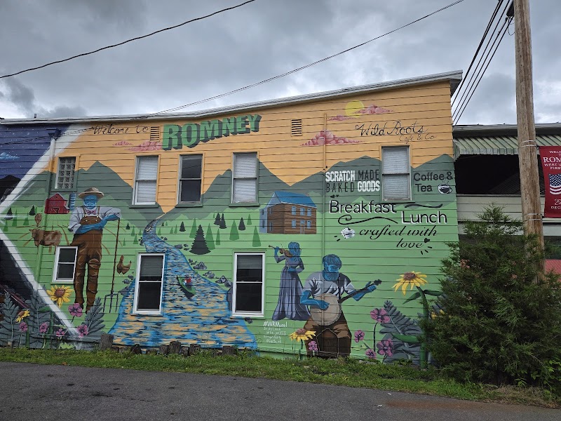 Wild Roots Cafe & Co. photo 1