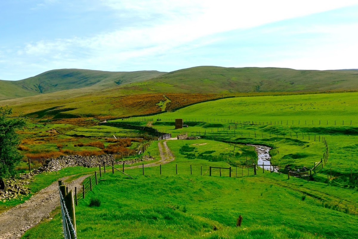 Wildscapes Retreat & Campsite