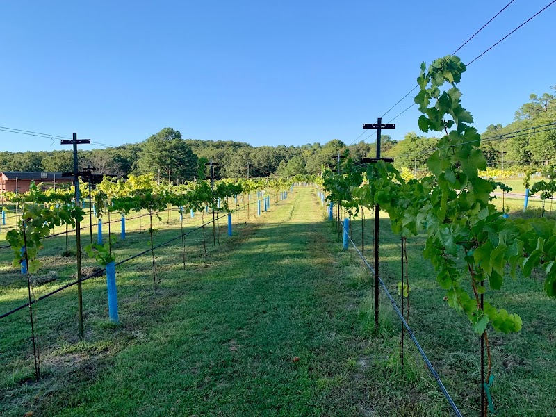 Valle Della Pace Vineyards & Winery photo 4