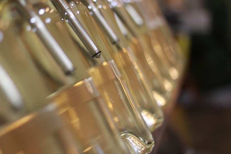 Valle Della Pace Vineyards & Winery photo 1