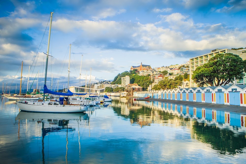 InterContinental Wellington by IHG fotoğraf 1