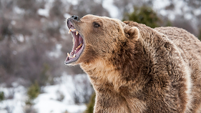 Law Office of Jason Skala, LLC - Car accident lawyer in Anchorage