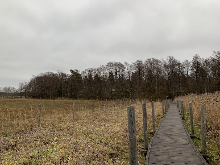 Pornaistenniemi Nature Trail fotoğraf 1