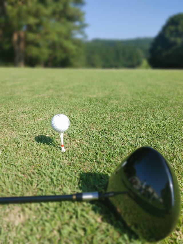 Mimitsu Country Club - Photo 10