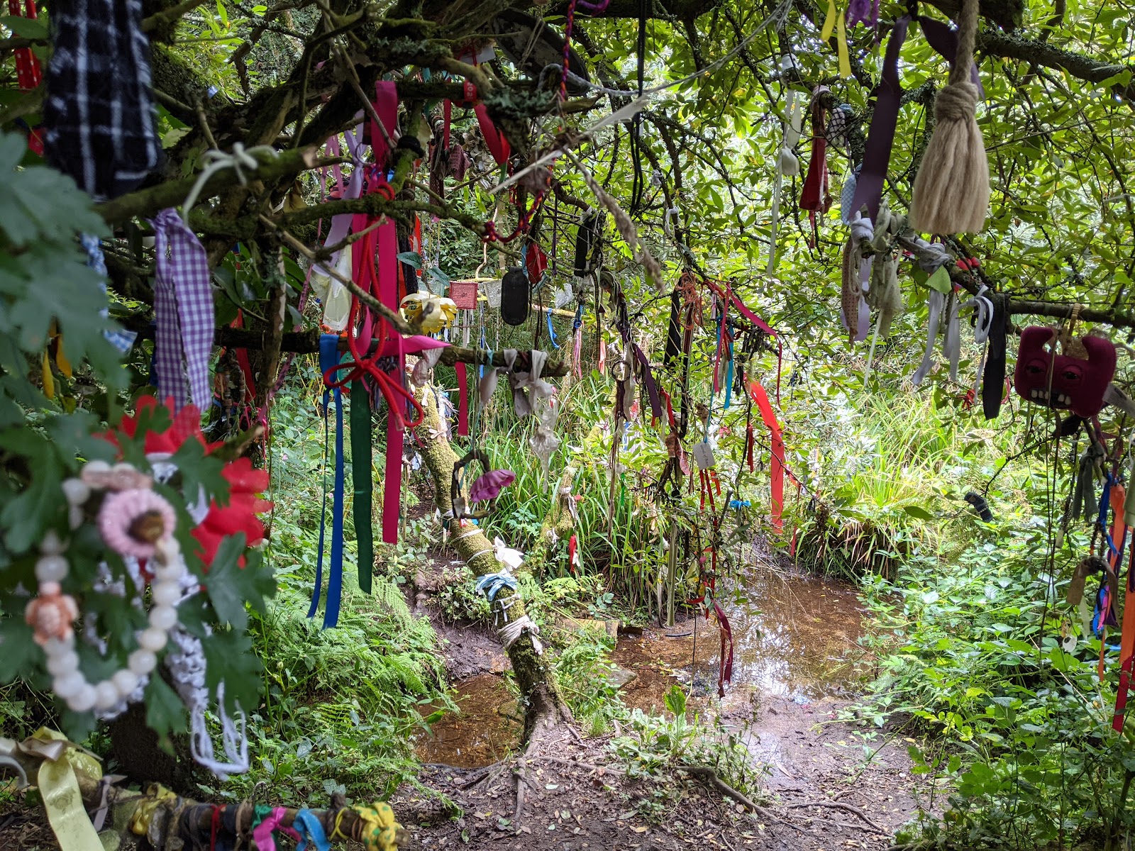 Cornwall's Best Hidden Gems: 12 Secret Spots Most Visitors Miss