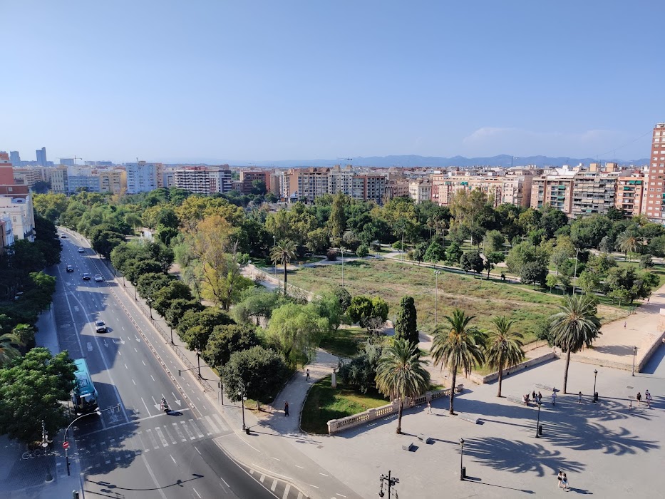 Jardín del Turia fotoğraf 1