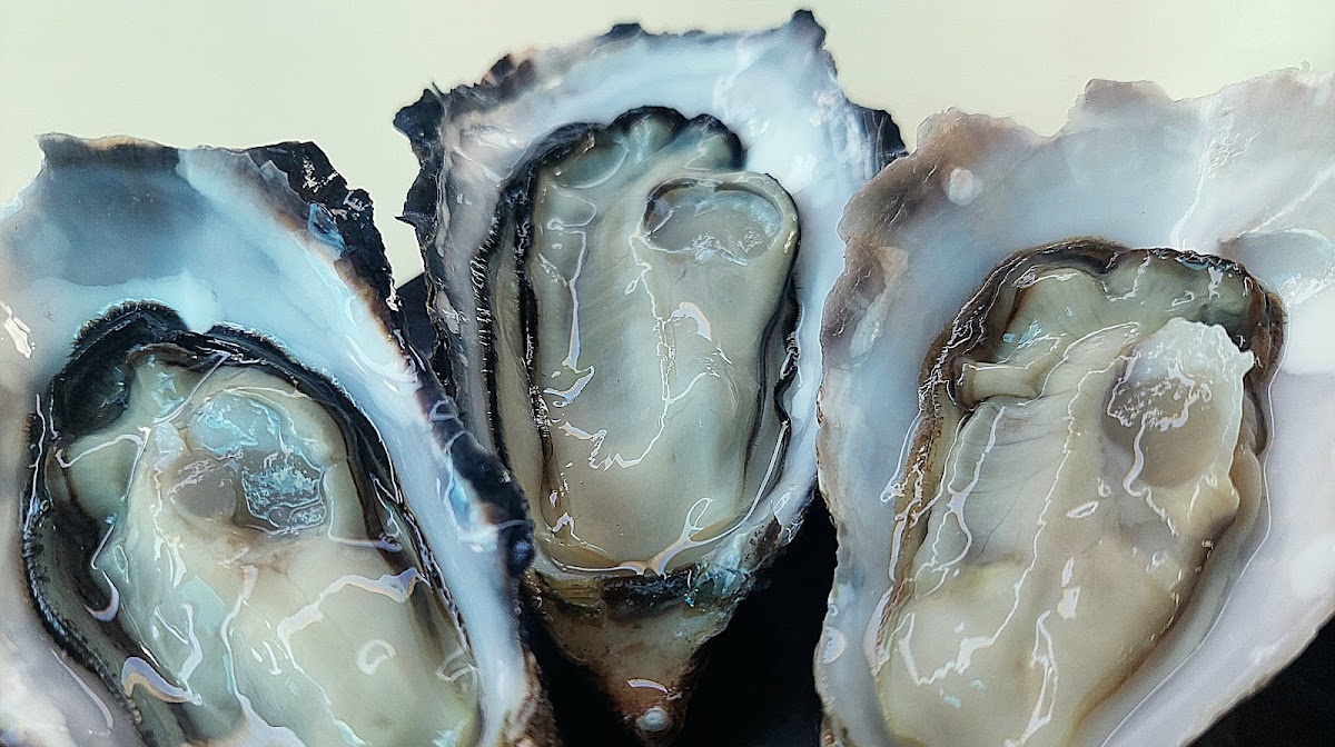 Oysters R Us - Wilderness, Garden Route — photo 3
