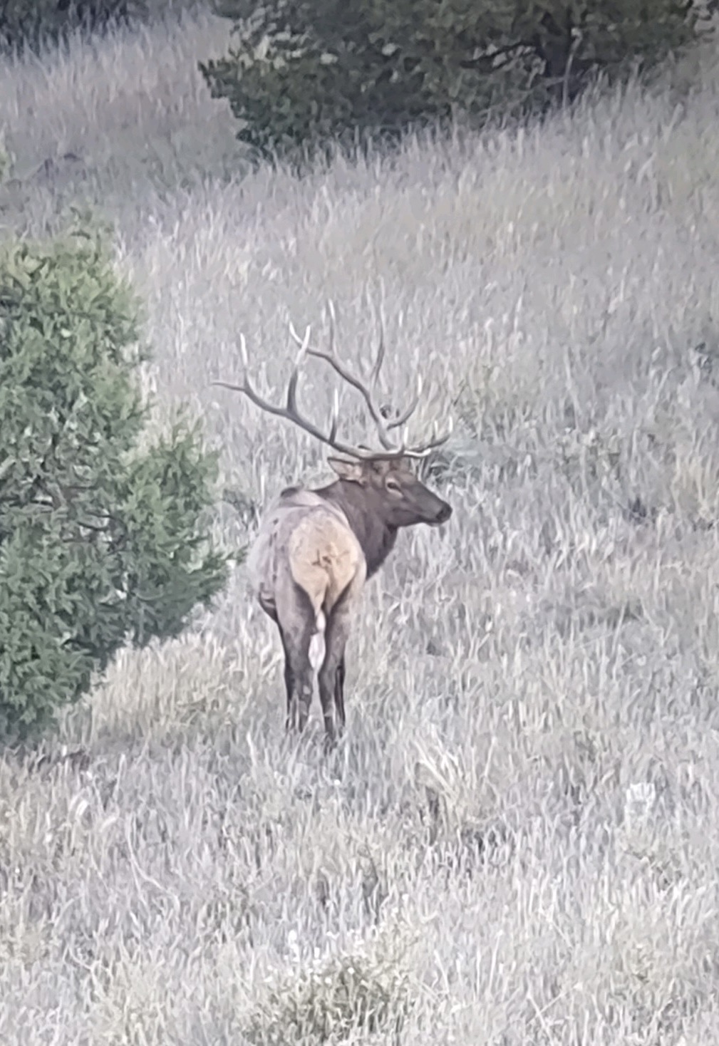 Beaverhead Ranch & Outfitters